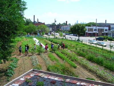 An Urban Farm